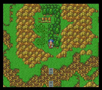 Dragon Quest VI - Maboroshi no Daichi (Japan) screen shot game playing